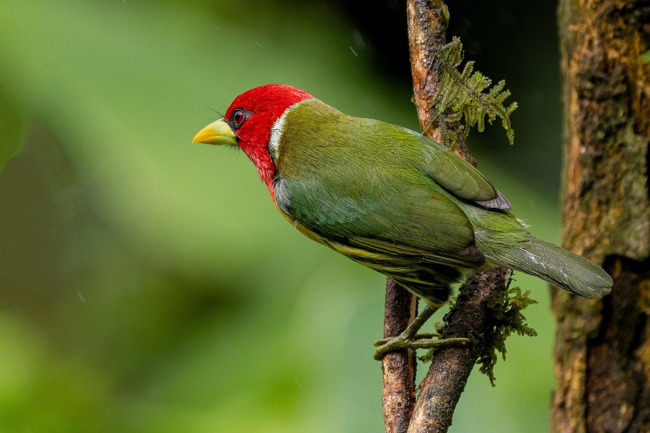 Wildlife Watching tour