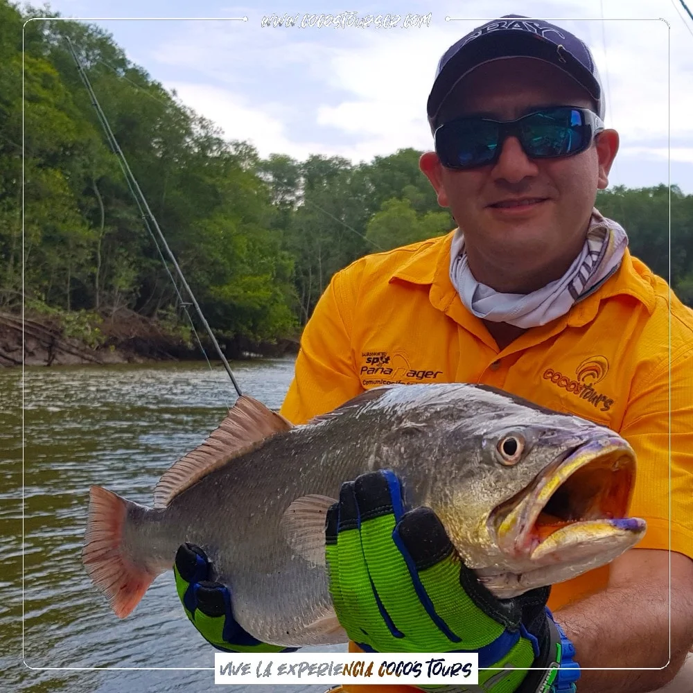 Inshore Fishing Cocos Island